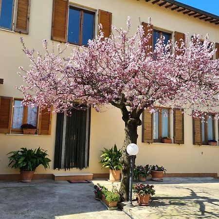 B&B Barbara Assisi Cannara Bagian luar foto