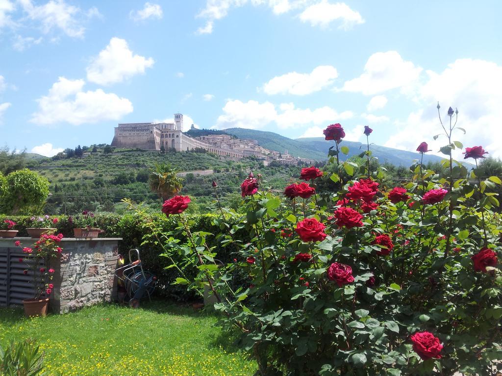 B&B Barbara Assisi Cannara Ruang foto