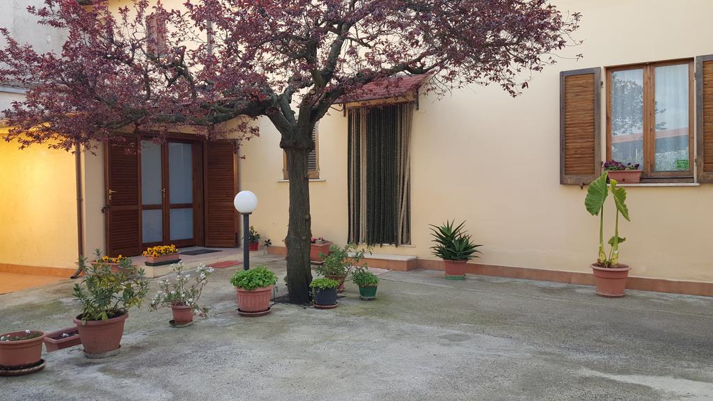 B&B Barbara Assisi Cannara Bagian luar foto