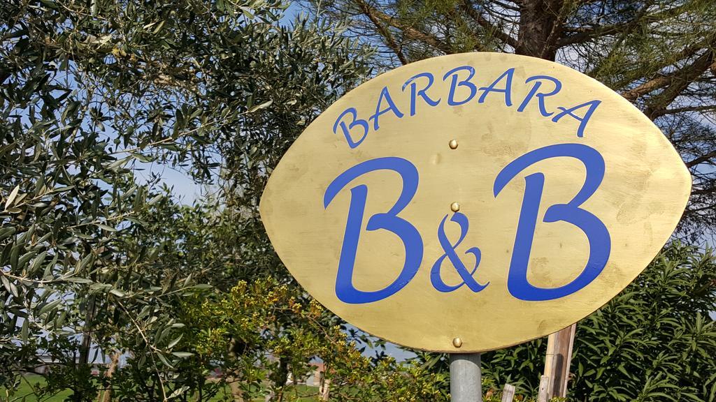B&B Barbara Assisi Cannara Bagian luar foto