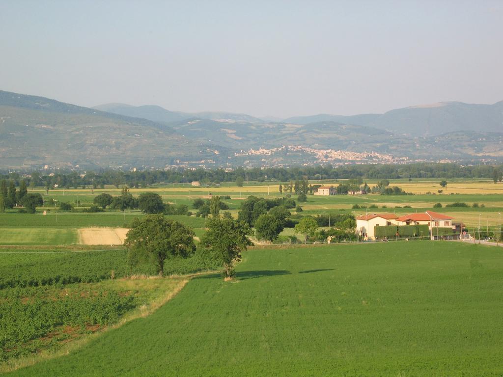 B&B Barbara Assisi Cannara Bagian luar foto