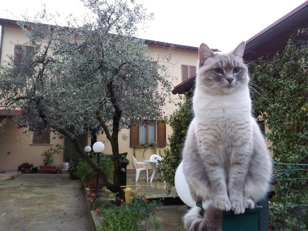 B&B Barbara Assisi Cannara Bagian luar foto